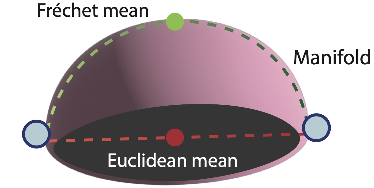 Illustration of Fréchet mean on a manifold versus Euclidean mean off the manifold.